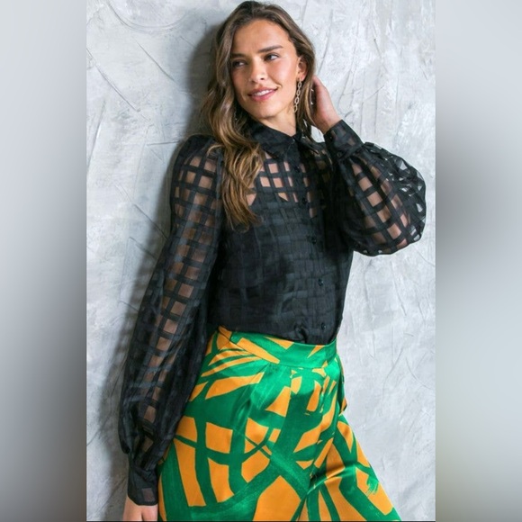 Tops - NWT SOPHIA Sheer Checkered Long Sleeve Blouse | Boutique